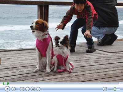 c0065512_23105431.gif