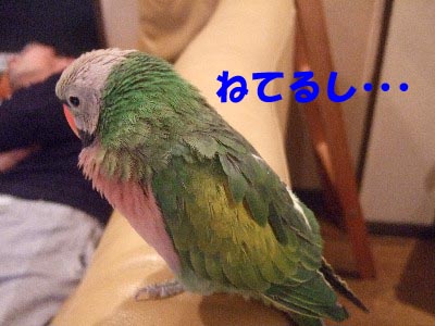 c0133013_13584029.jpg