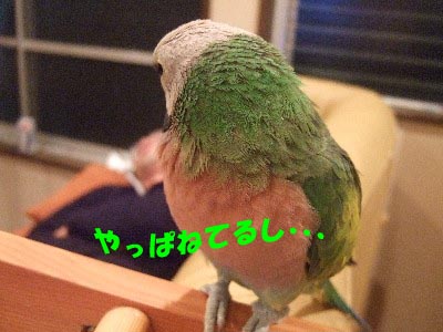 c0133013_13593044.jpg