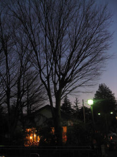 お悔やみの花_c0102228_19271257.jpg