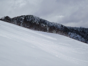 b0156430_1548337.jpg