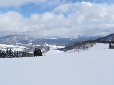 b0156430_1549278.jpg