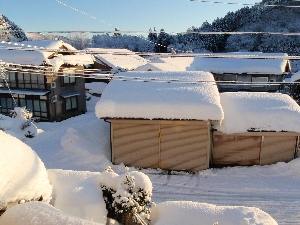 b0156430_1550755.jpg
