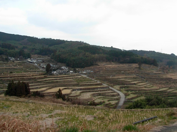c0047341_8154137.jpg
