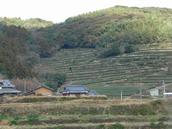 c0047341_8265035.jpg