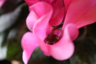 c0118352_7124675.jpg