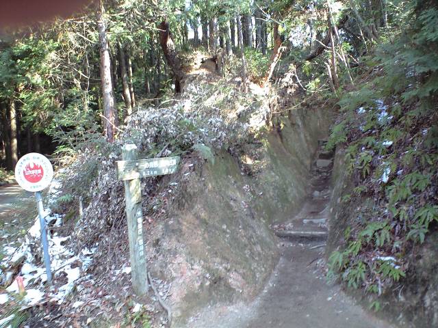 奇跡の証人! 2009.1.15_b0002156_15245.jpg