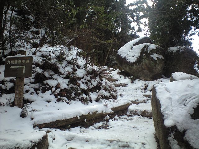 奇跡の証人! 2009.1.15_b0002156_1532189.jpg