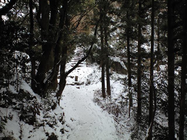 奇跡の証人! 2009.1.15_b0002156_1542259.jpg