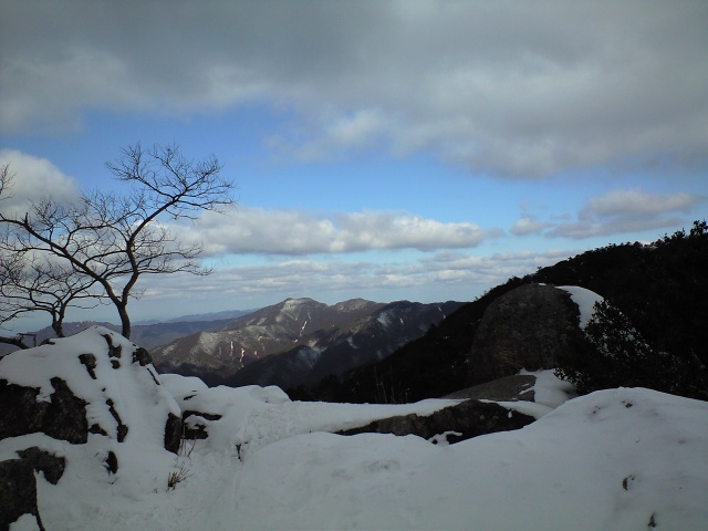 奇跡の証人! 2009.1.15_b0002156_1562277.jpg