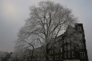 Amsterdam in winter_c0157558_9372179.jpg