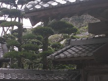 e0139859_0332655.jpg