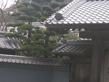 e0139859_0352290.jpg