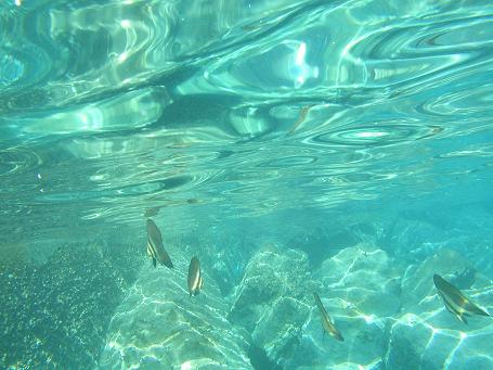 c0180460_23483743.jpg
