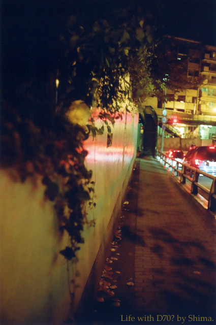 c0036283_11339.jpg