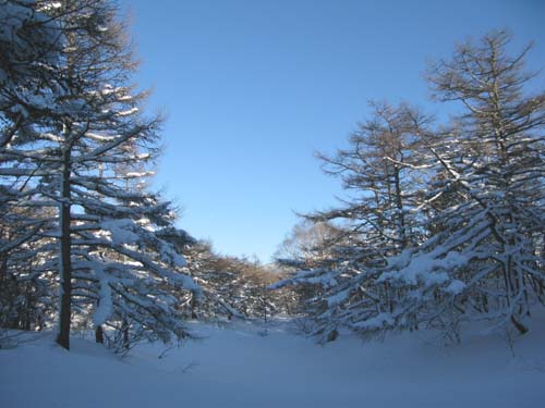 山と渓谷 2月号 掲載_e0120896_730452.jpg