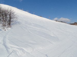 b0156430_13502392.jpg