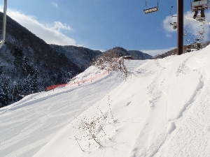 b0156430_135047.jpg