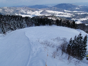 b0156430_13504783.jpg