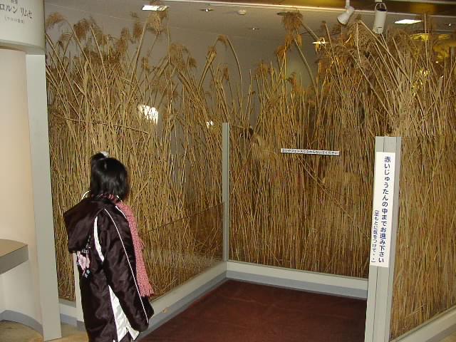 どうしようかなぁ・・。1月17日_f0113639_14562890.jpg