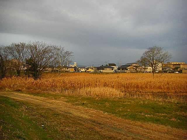 b0088444_23142878.jpg