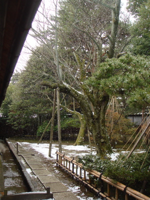 e0125762_20372147.jpg
