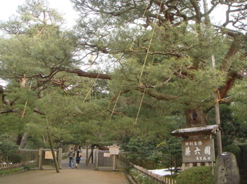 e0125762_5144552.jpg