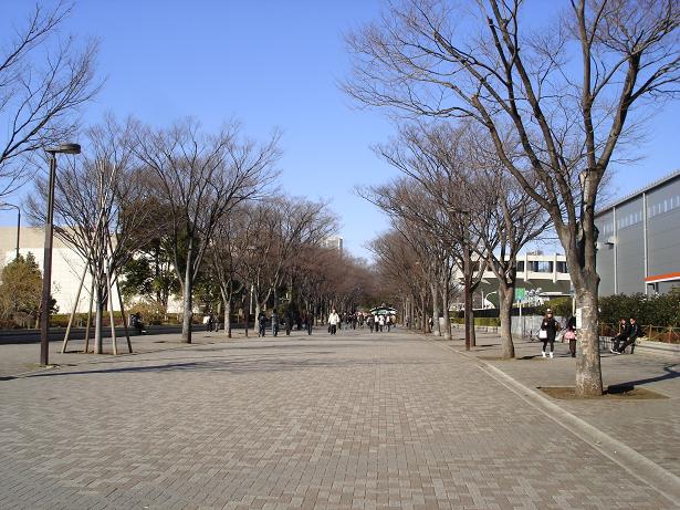 e0091066_1910926.jpg