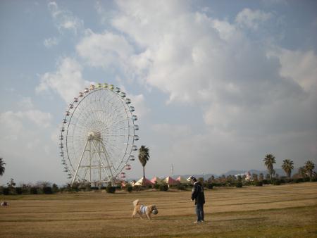 赤穂海浜公園_b0112568_2191757.jpg