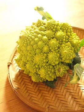 ブイヤベースとたっぷり野菜のホームパーティー☆_d0128268_23565784.jpg