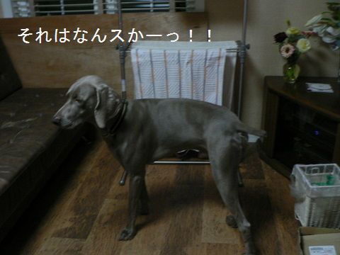 f0065568_18541962.jpg