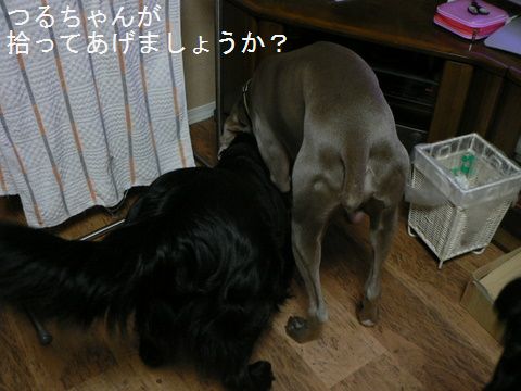 f0065568_18554427.jpg