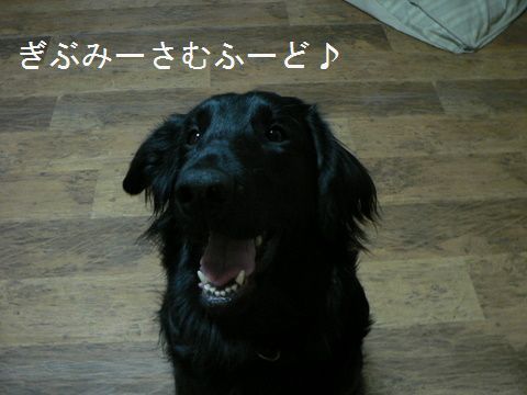 f0065568_1902749.jpg