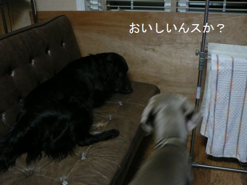 f0065568_192387.jpg