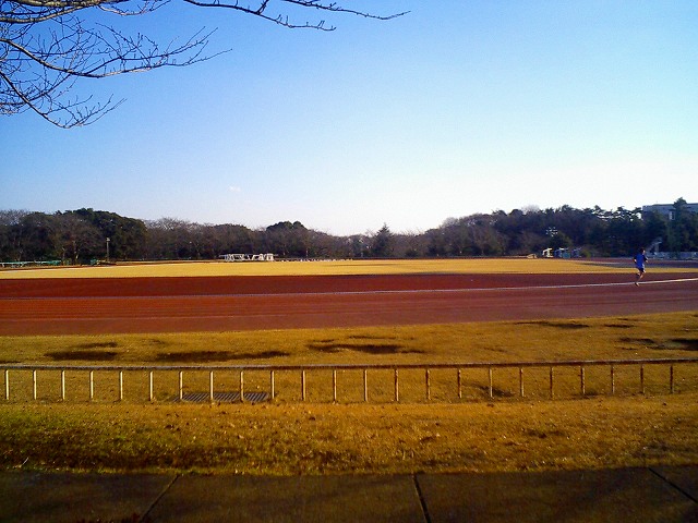 b0155973_17751100.jpg