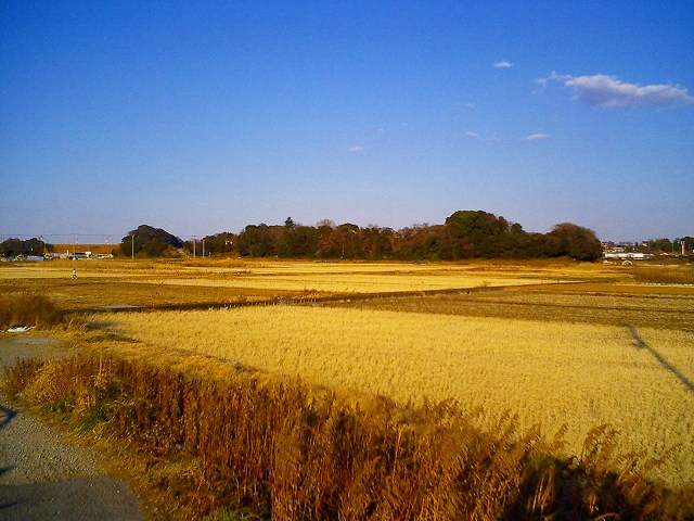 b0155973_1795771.jpg