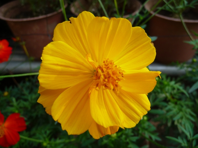 d0042474_0515564.jpg