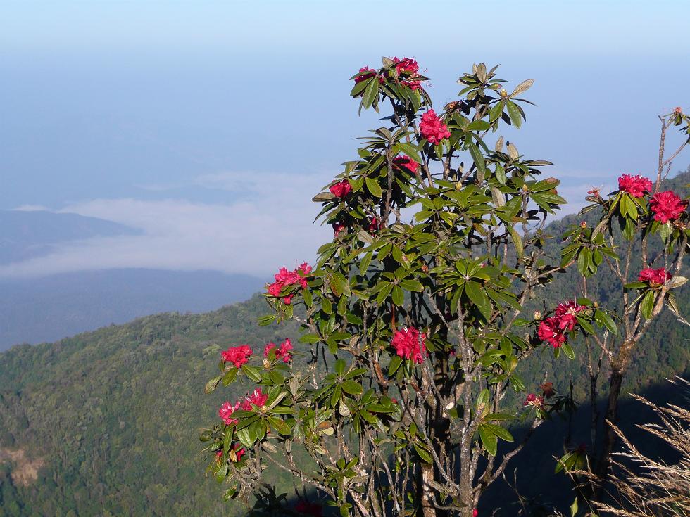 f0178278_22253864.jpg