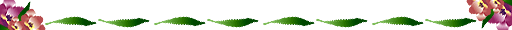 f0059491_20553682.gif