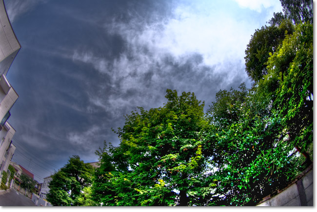 Photomatix Pro 3.0のインプレ_a0049195_254012.jpg