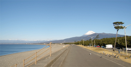 寒中お見舞い申し上げます_d0067498_2334156.gif