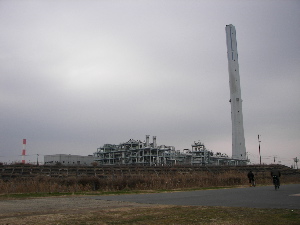 f0086008_232430.jpg
