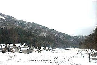 Orange juice_c0116714_312550.jpg