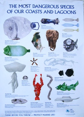 わたしたちの海や海岸のもっとも危険な生物・・・ポスターの説明を追加_a0043520_8475838.jpg