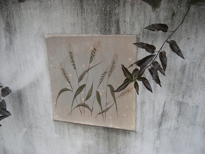 f0139520_23655.jpg