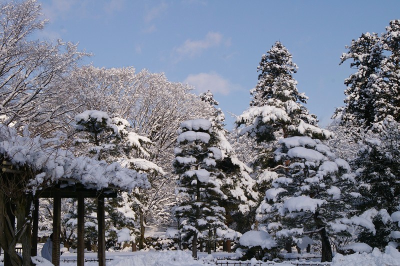 e0136424_1773199.jpg