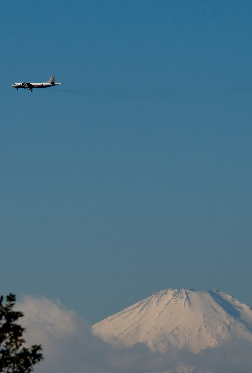 b0142435_12504984.jpg