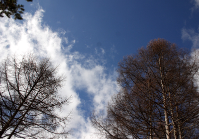 b0067346_16114337.jpg
