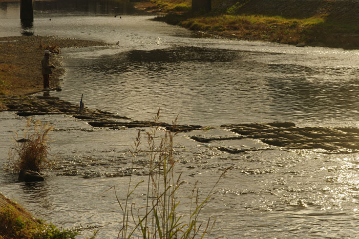 f0152550_17245694.jpg