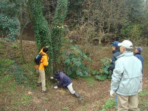 c0108460_1518142.jpg